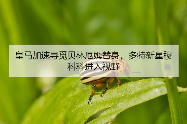 huang-ma-jia-su-xun-mi-bei-lin-e-mu-ti-shen-duo-te-xin-xing-mu-ke-ke-jin-ru-shi-ye-2-107.jpg
